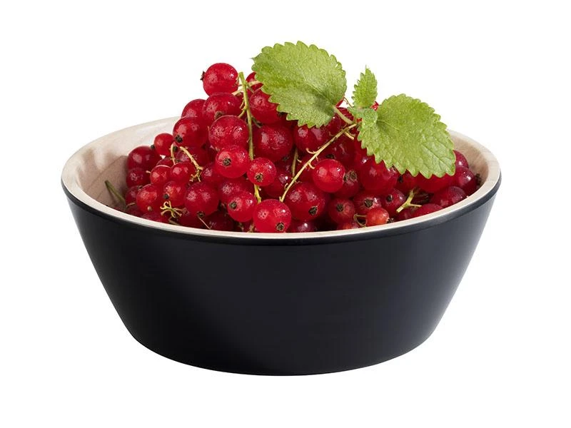 APS Schale "FRIDA" In Beige/Schwarz Ø 15 Cm, H: 5,5 Cm – Bild 2