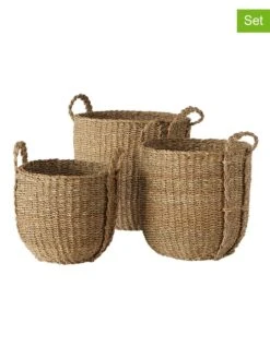 3er-Set: Körbe "Sophy" In Hellbraun
