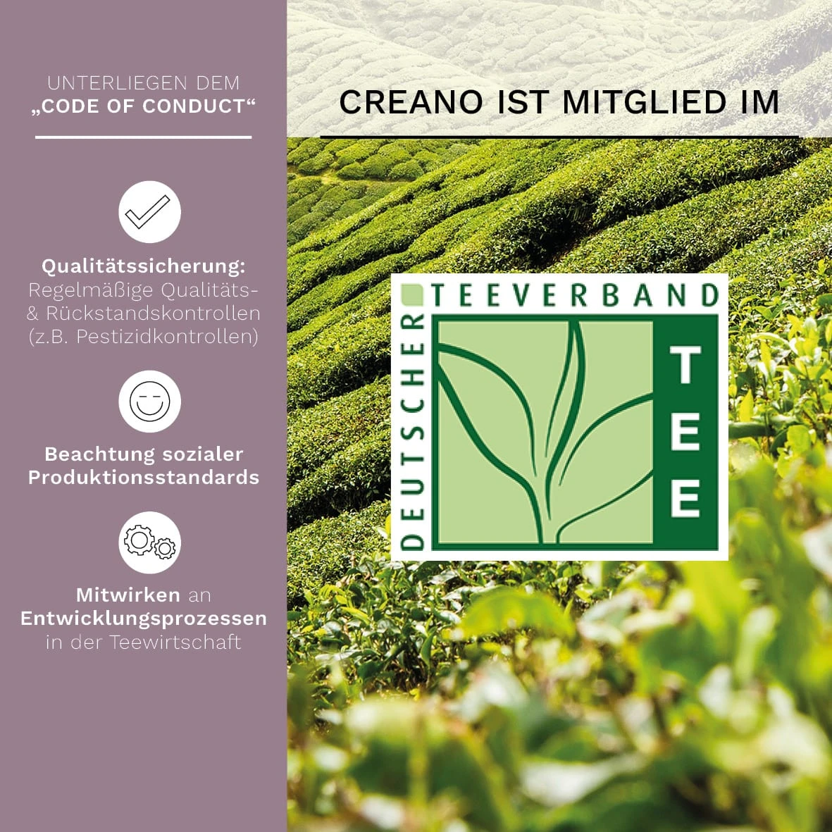 7tlg. Set: Holz-Teekiste + 6 Teeblumen "ErblühTee Schwarzer Tee" – Bild 3