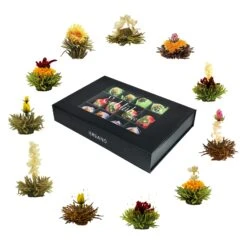 MIXED 18er Magnetbox Teeblumen Grüner/Weißer/Schwarzer Tee