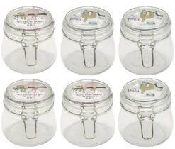 Bügelglas Faultier 6 Stück In Bunt - 500ml