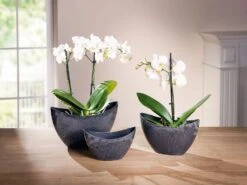 Spar-Set 2x Schale "Marmoroptik", In Drei Größen In Anthrazit