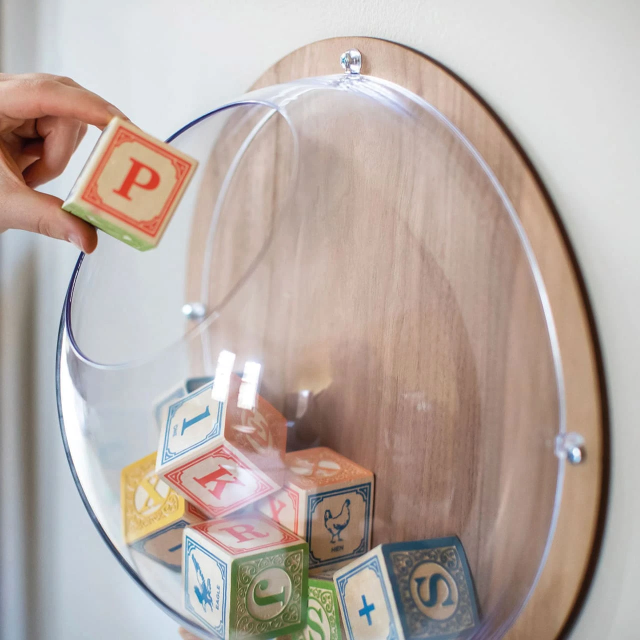 Koziol ORION READY L - Hängedisplay Mit Holzscheibe In Crystal Clear – Bild 2