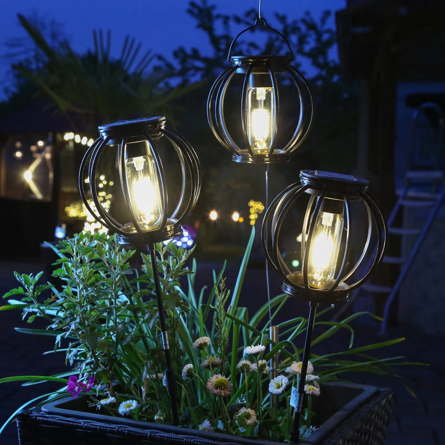 3er Set LED Solar Gartenstecker & Laterne In Schwarz – Bild 5