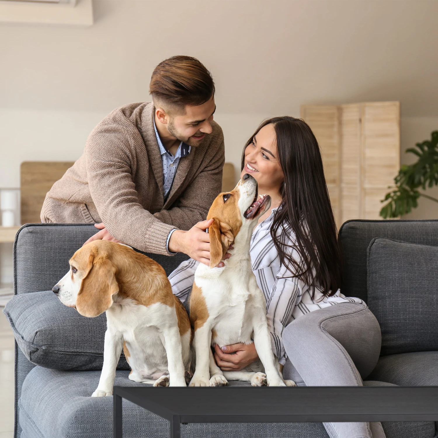 Couchtisch In Schwarz - (B)90 X (H)42 X (T)50 Cm – Bild 3