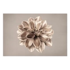 Leinwandbild - Dahlie Bronze Metallic Mokka Zentriert In Gold