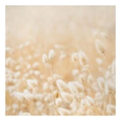 Leinwandbild - Zarte Gräser In Creme-Beige