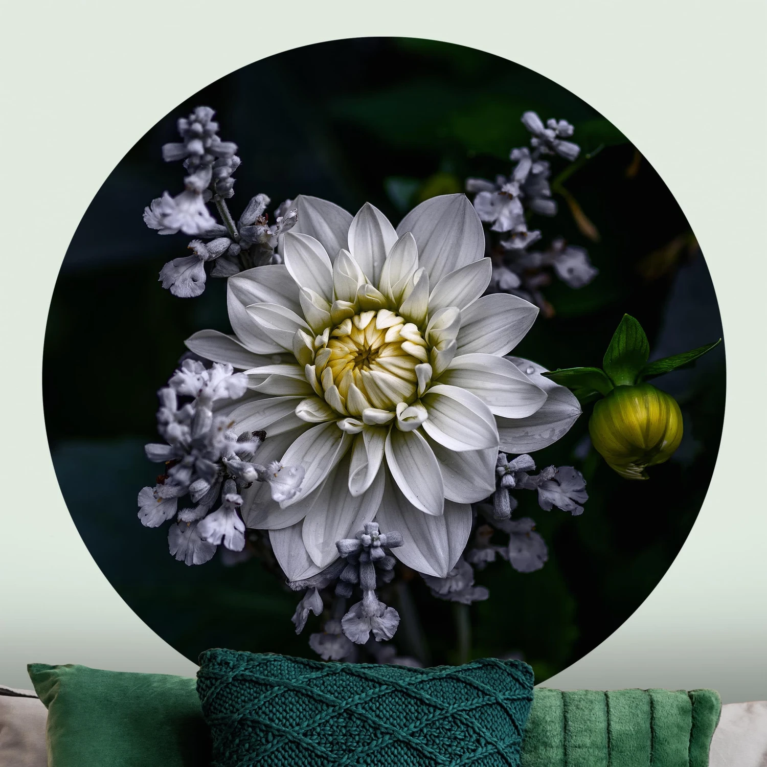 Runde Tapete - Weiße Dahlie In Schwarz – Bild 3