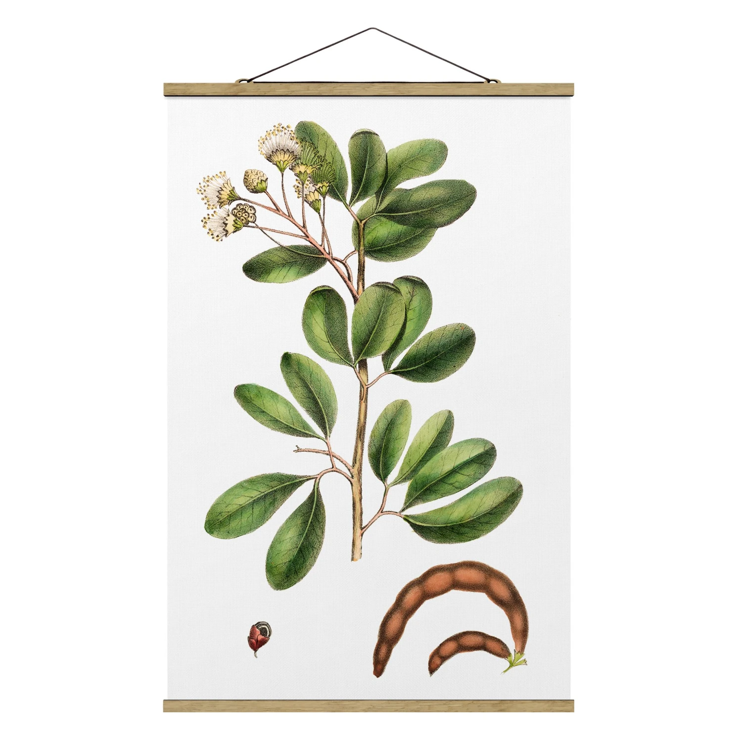 Stoffbild Mit Posterleisten - Laubwerk Mit Blüten III In Weiß