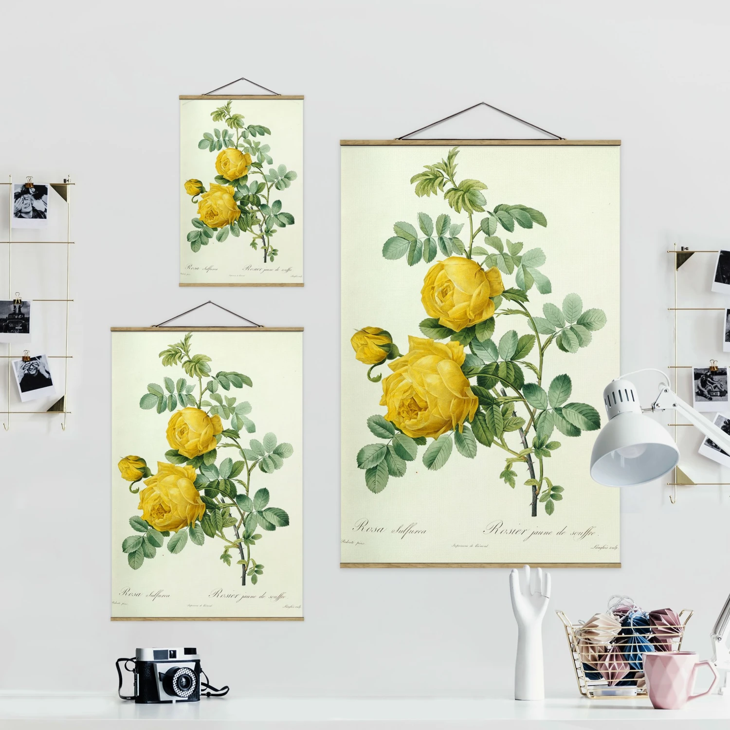 Stoffbild - Pierre J. Redouté - Rosa Sulfurea In Gelb – Bild 7