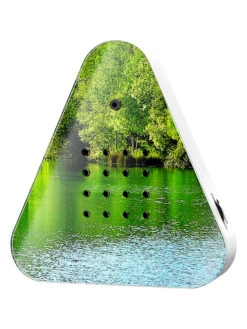 Lakesidebox "Waldsee" In Grün - (B)11 X (H)11,8 X (T)2,8 Cm